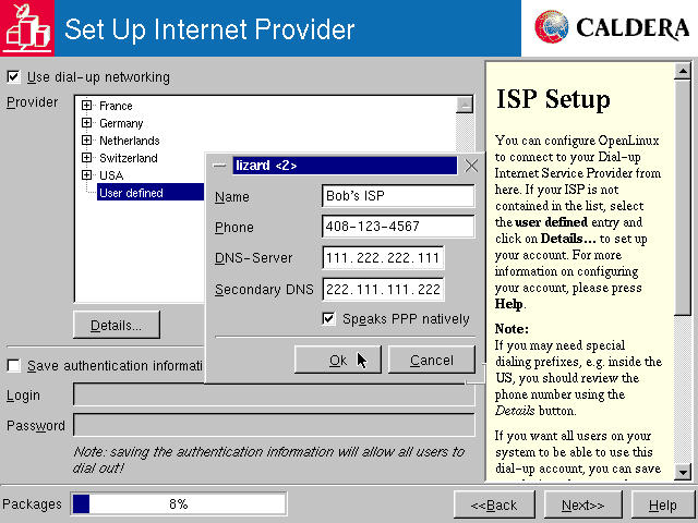 Set Up Internet Provider: User defined with Details dialog box