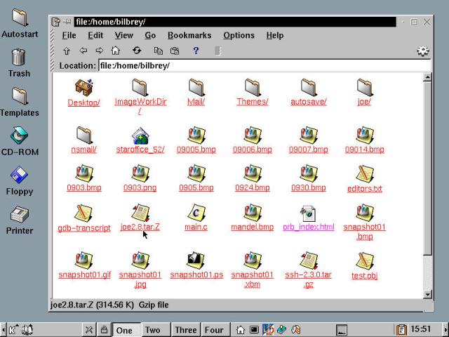 The KDE File Manager, showing an icon view of the home directory.